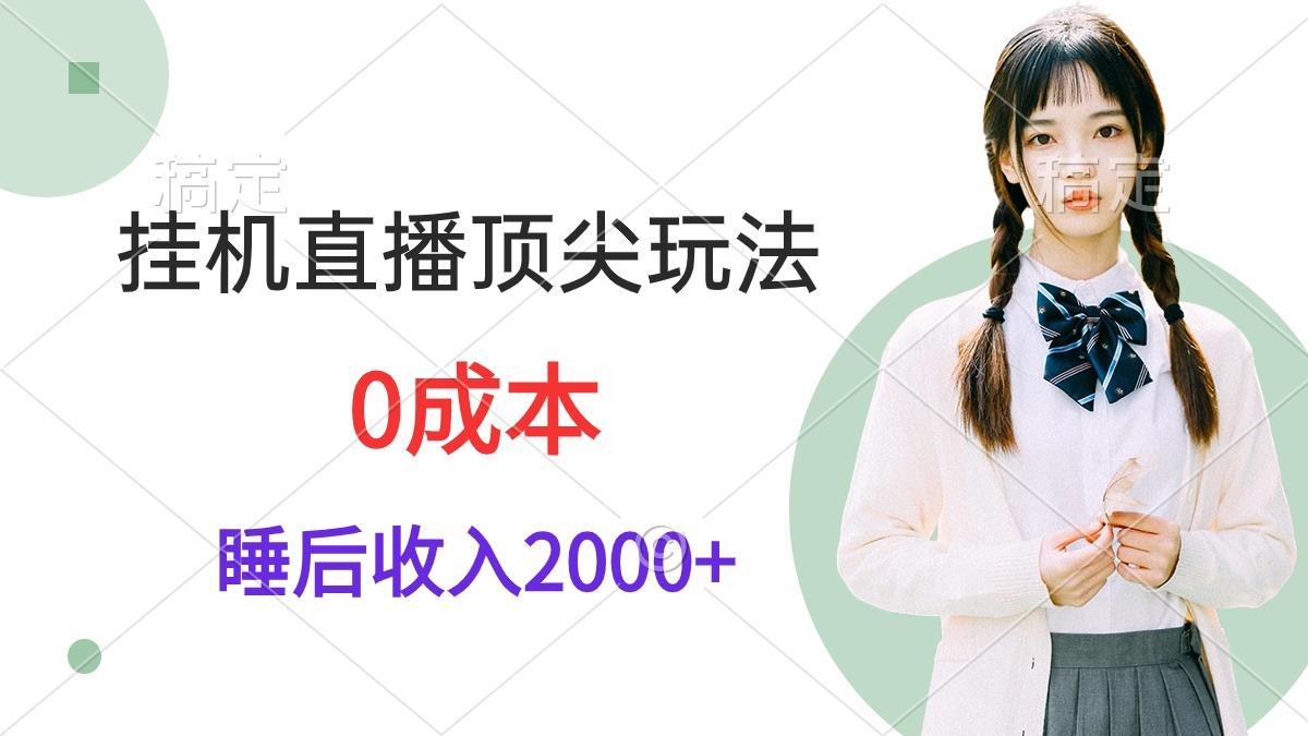 (9715期)挂机直播顶尖玩法，睡后日收入2000+、0成本，视频教学-心语项目网