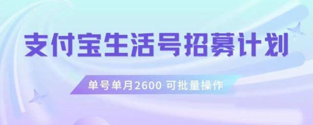 支付宝生活号作者招募计划，单号单月2600，可批量去做，工作室一人一个月轻松1w+【揭秘】-心语项目网