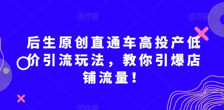 后生原创直通车高投产低价引流玩法，教你引爆店铺流量！-心语项目网