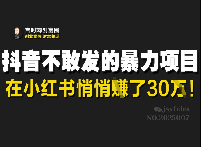 抖音不敢发的暴利项目，在小红书悄悄挣了30W-心语项目网
