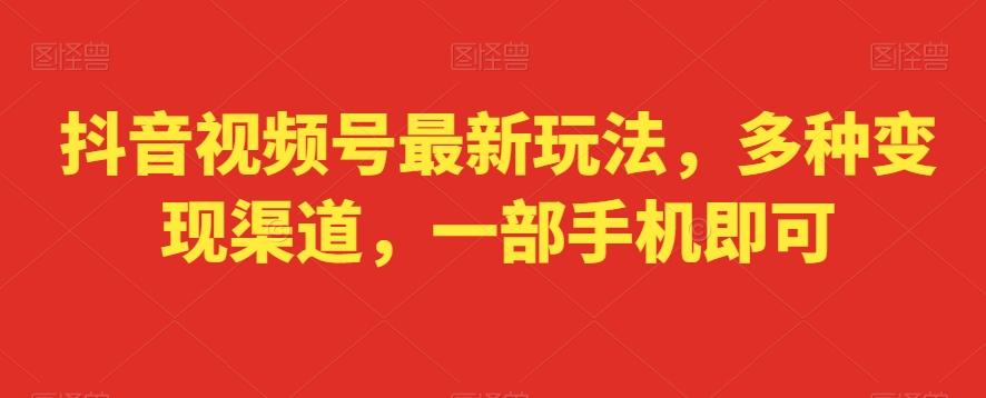 抖音视频号最新玩法，多种变现渠道，一部手机即可-心语项目网