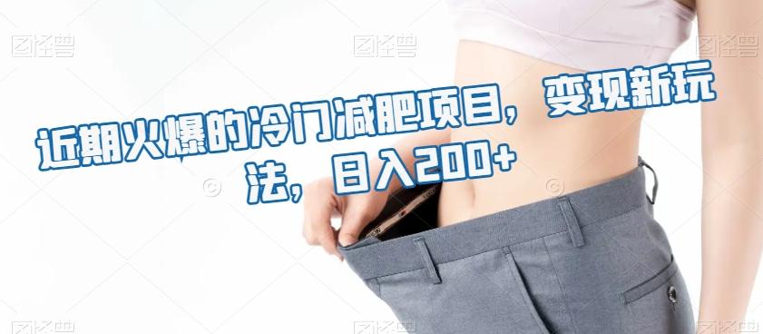 近期火爆的冷门减肥项目，变现新玩法，日入200+-心语项目网