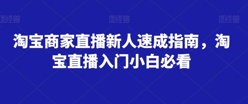淘宝商家直播新人速成指南，淘宝直播入门小白必看-心语项目网