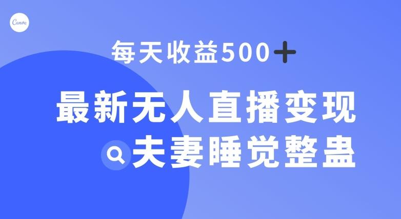 最新无人直播变现，夫妻睡觉整蛊，每天躺赚500+【揭秘】-心语项目网