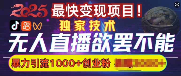 欲罢不能的无人直播引流，超暴力日引流1000+高质量精准创业粉-心语项目网
