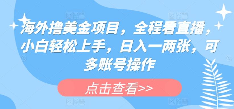 海外撸美金项目，全程看直播，小白轻松上手，日入一两张，可多账号操作【揭秘】-心语项目网