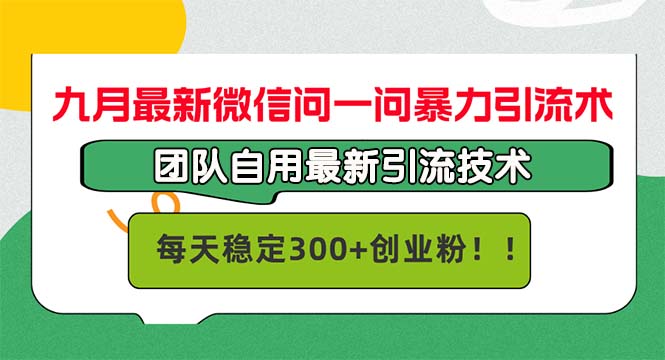 九月最新微信问一问暴力引流术，团队自用引流术，每天稳定300+创…-心语项目网