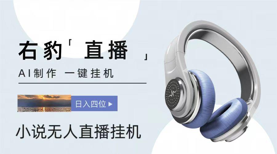 右豹小说无人直播挂机吸金项目，简单易行收益稳定， 月入1000+-心语项目网