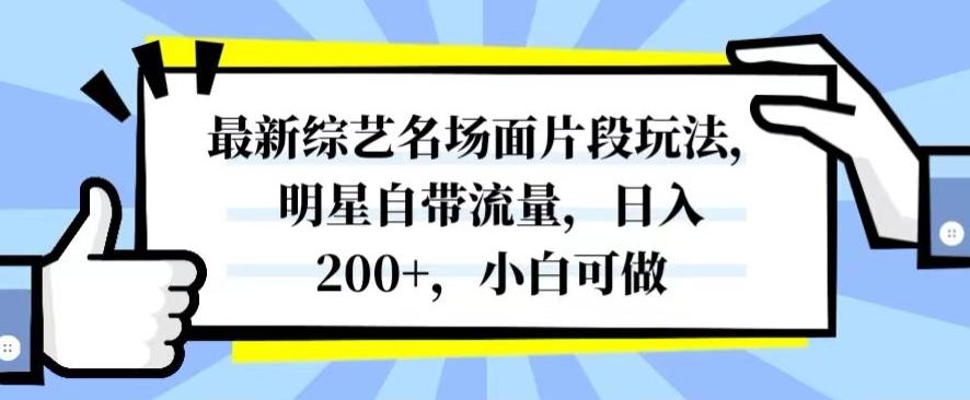 最新综艺名场面片段玩法，明星自带流量，日入200+，小白可做【揭秘】-心语项目网