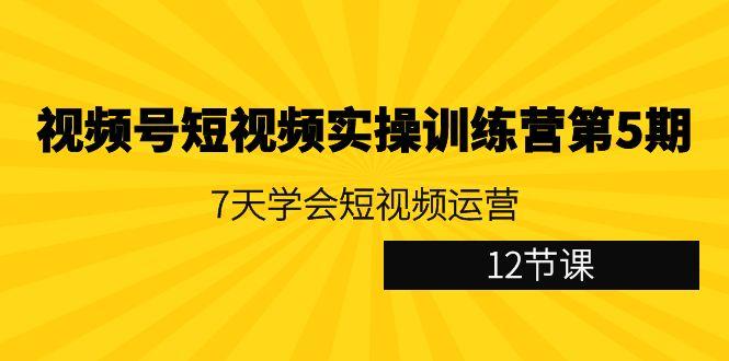 视频号短视频实操训练营第5期：7天学会短视频运营(12节课)-心语项目网