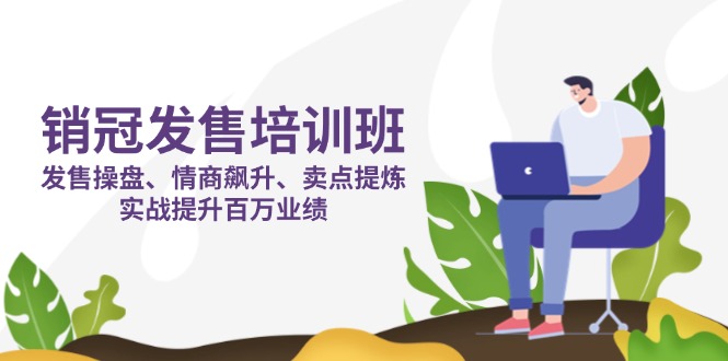 销冠 发售培训班：发售 操盘+情商 飙升+卖点 提炼，实战提升百万业绩-心语项目网