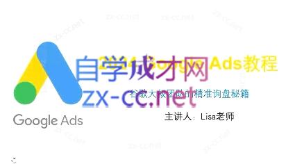 谷歌大叔·2024Google Ads教程-心语项目网