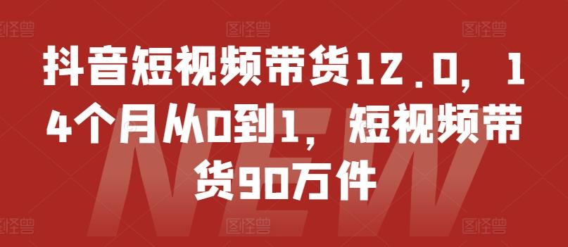 抖音短视频带货12.0，14个月从0到1，短视频带货90万件-心语项目网
