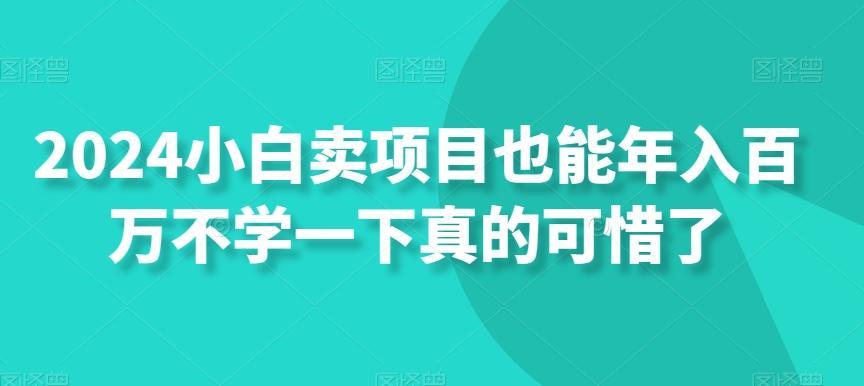 2024小白卖项目也能年入百万不学一下真的可惜了-心语项目网