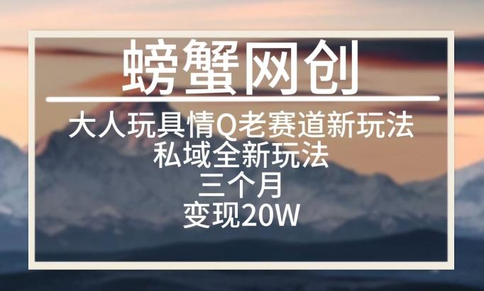 大人玩具情Q用品赛道私域全新玩法，三个月变现20W，老项目新思路【揭秘】-心语项目网