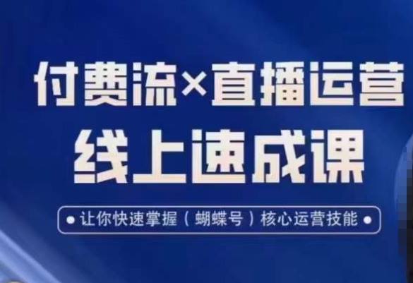 视频号付费流实操课程，付费流✖️直播运营速成课，让你快速掌握视频号核心运营技能-心语项目网