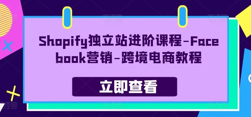 Shopify独立站进阶课程-Facebook营销-跨境电商教程-心语项目网