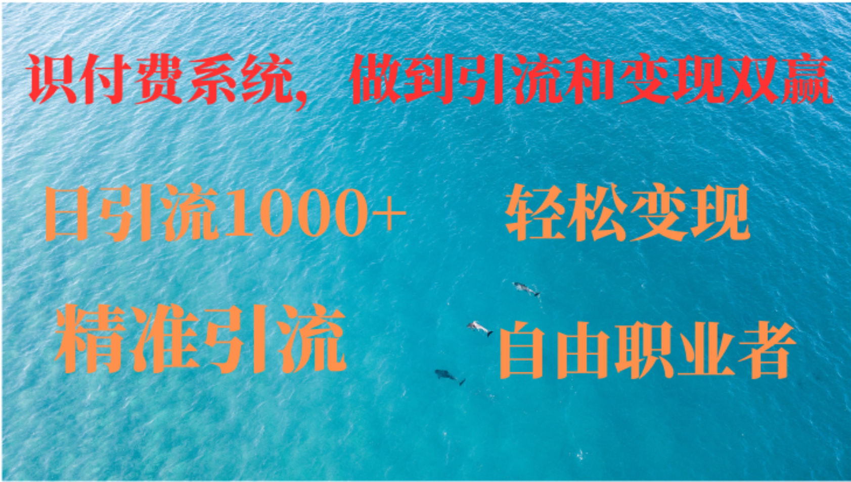 如何搭建自己的知识付费系统，做到引流和变现双赢-心语项目网
