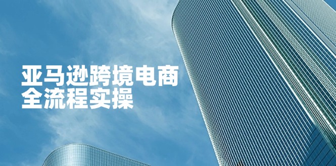 亚马逊跨境电商全流程实操，教你从零开始，掌握店铺运营与广告技巧-心语项目网