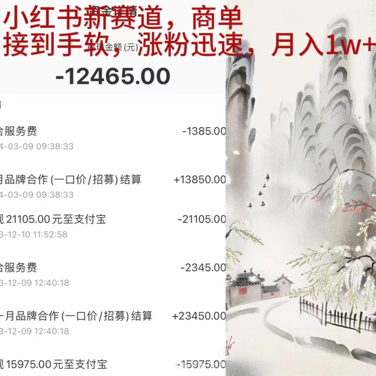 (9476期)小红书新赛道，商单接到手软，涨粉迅速，月入1w+-心语项目网