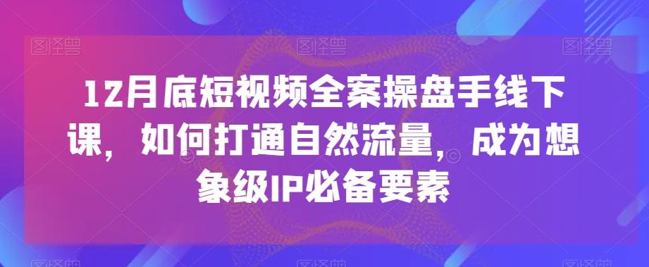 12月底短视频全案操盘手线下课，如何打通自然流量，成为想象级IP必备要素-心语项目网