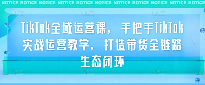 TikTok全域运营课，手把手TikTok实战运营教学，打造带货全链路生态闭环-心语项目网