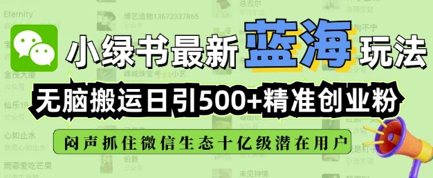 小绿书无脑搬运引流，全自动日引500精准创业粉，微信生态内又一个闷声发财的机会-心语项目网