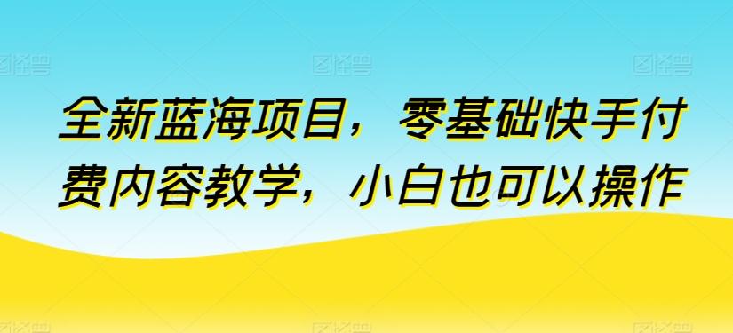 全新蓝海项目，零基础快手付费内容教学，小白也可以操作【揭秘】-心语项目网