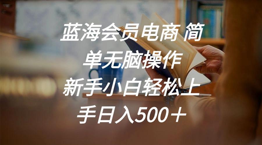 蓝海会员电商 简单无脑操作 新手小白轻松上手日入500＋-心语项目网