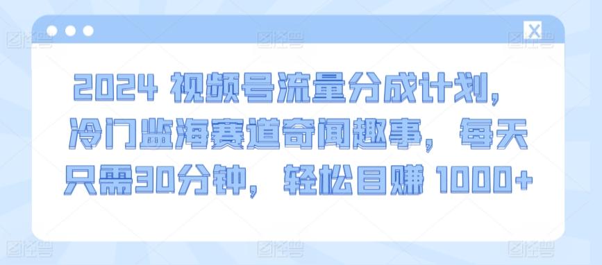 2024视频号流量分成计划，冷门监海赛道奇闻趣事，每天只需30分钟，轻松目赚 1000+【揭秘】-心语项目网