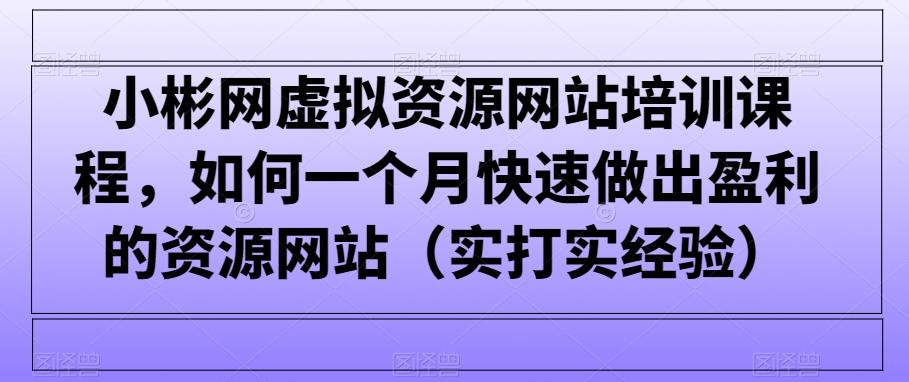 小彬网虚拟资源网站培训课程，如何一个月快速做出盈利的资源网站(实打实经验)-心语项目网