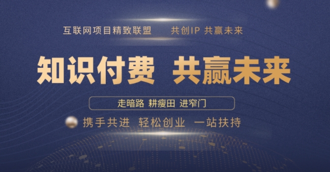别人苦寻无果，为何他们靠知识付费卖项目 2025 年轻松年入100个?【揭秘】-心语项目网