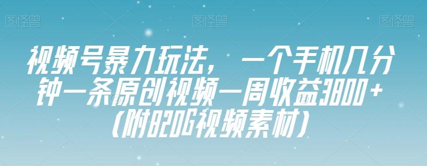 视频号暴力玩法，一个手机几分钟一条原创视频一周收益3800+（附820G视频素材）-心语项目网