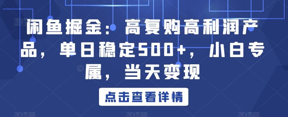 闲鱼掘金：高复购高利润产品，单日稳定500+，小白专属，当天变现-心语项目网