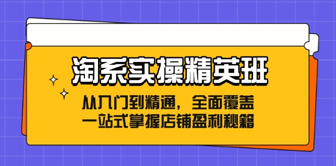 淘系实操精英班：从入门到精通，全面覆盖，一站式掌握店铺盈利秘籍-心语项目网