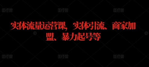 实体流量运营课，实体引流、商家加盟、暴力起号等-心语项目网