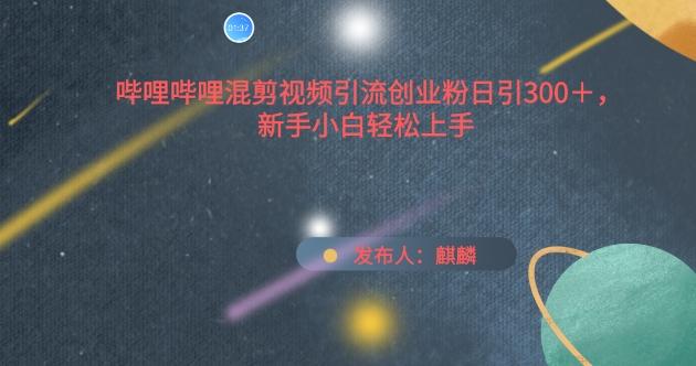 哔哩哔哩混剪视频引流创业粉日引300+，新手小白轻松上手【揭秘】-心语项目网