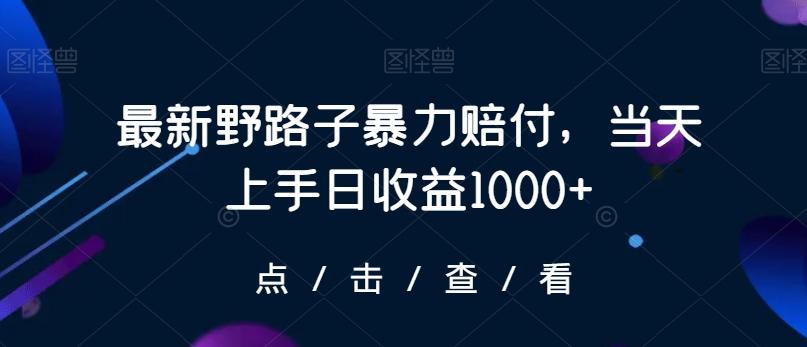 最新野路子暴力赔付，当天上手日收益1000+【仅揭秘】-心语项目网