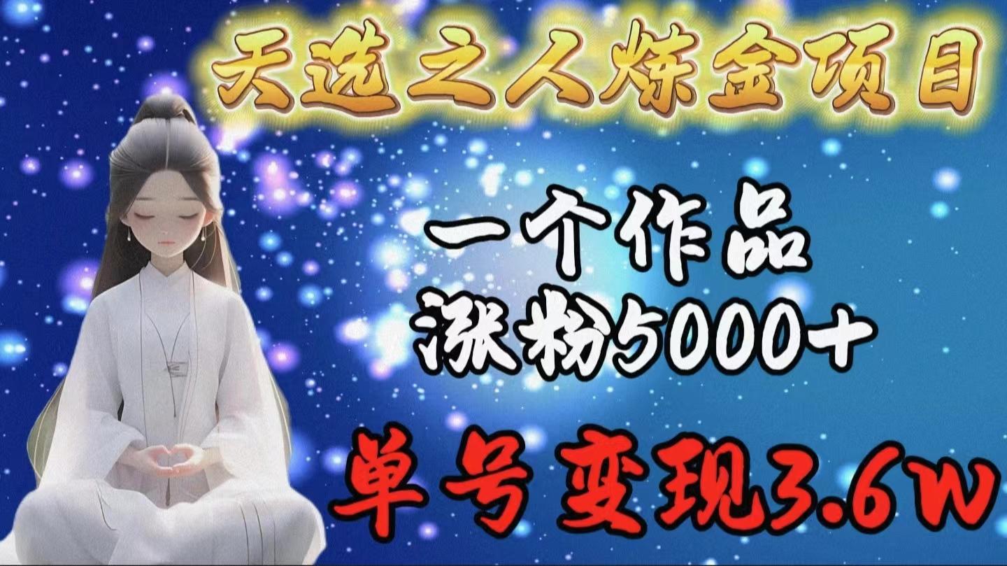 (9693期)天选之人炼金项目，一个作品涨粉5000+，单号变现3.6w-心语项目网