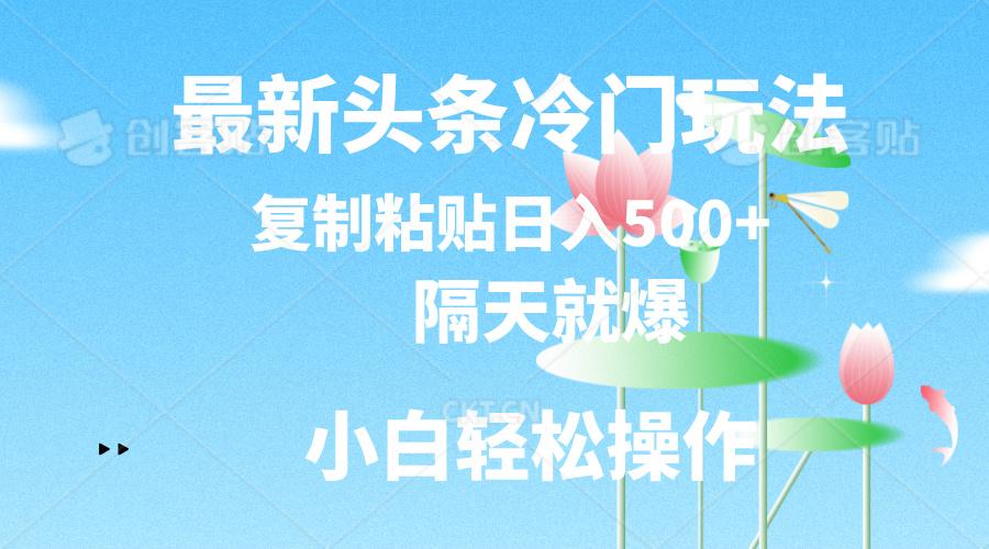 最新头条冷门玩法，隔天就爆，复制粘贴日入500+-心语项目网
