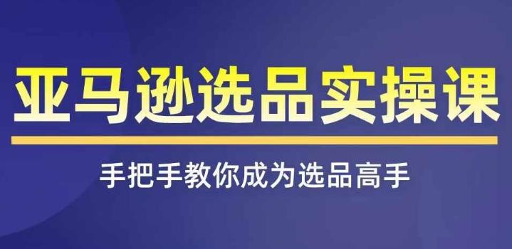 亚马逊选品实操课程，快速掌握亚马逊选品的技巧，覆盖亚马逊选品所有渠道-心语项目网
