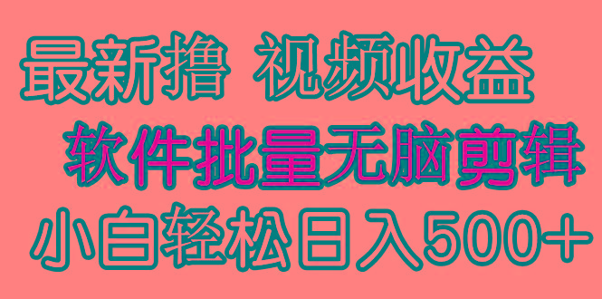 (9569期)发视频撸收益，软件无脑批量剪辑，第一天发第二天就有钱-心语项目网