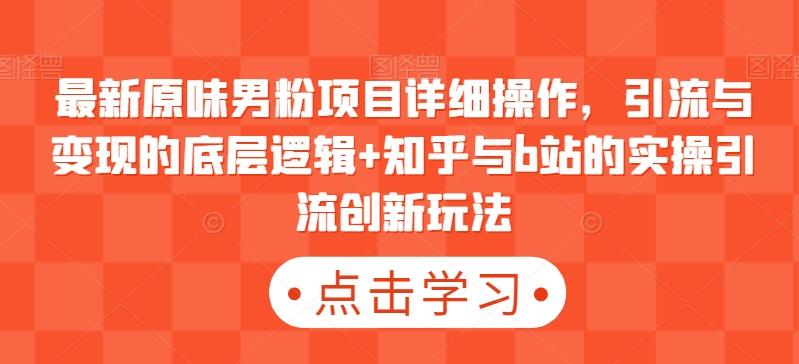 最新原味男粉项目详细操作，引流与变现的底层逻辑+知乎与b站的实操引流创新玩法-心语项目网