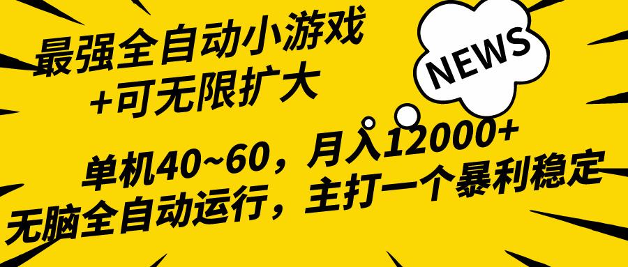 (10046期)2024最新全网独家小游戏全自动，单机40~60,稳定躺赚，小白都能月入过万-心语项目网