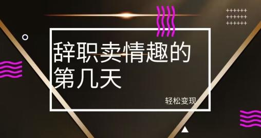 冷门赛道，辞职卖情趣的第几天，超暴力项目-心语项目网