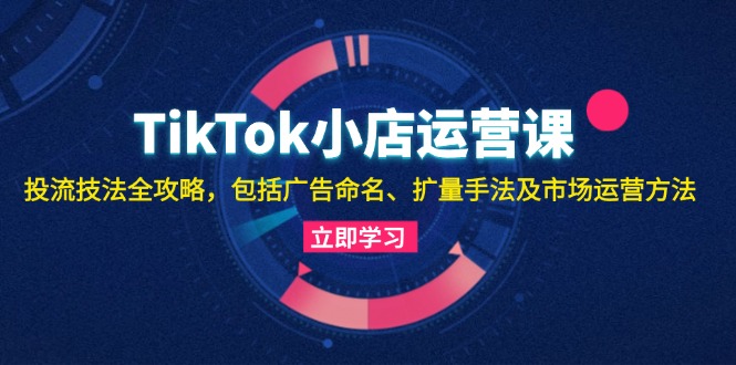 TikTok小店运营课：投流技法全攻略，包括广告命名 扩量手法及市场运营方法-心语项目网