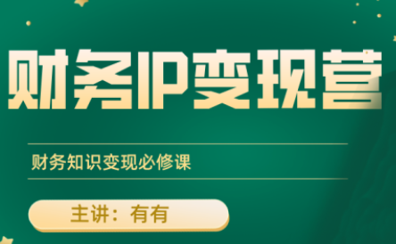 有有老师·财务IP变现营，财务知识变现必修课-心语项目网