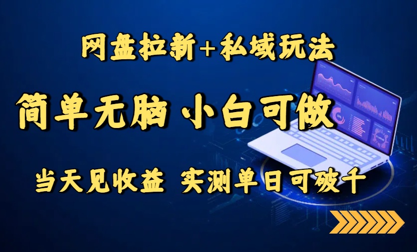 网盘拉新+私域玩法，简单无脑，小白可做，当天见收益，实测单日可破千-心语项目网