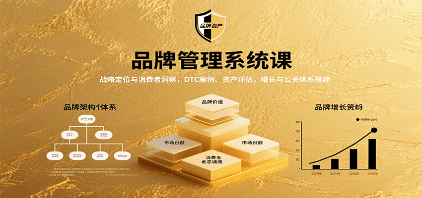 品牌管理系统课:战略定位与消费者洞察,DTC案例、资产评估,增长与公关体系搭建-心语项目网
