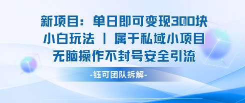 新项目单日即可变现3张的小白玩法无脑操作不封号安全引流-心语项目网